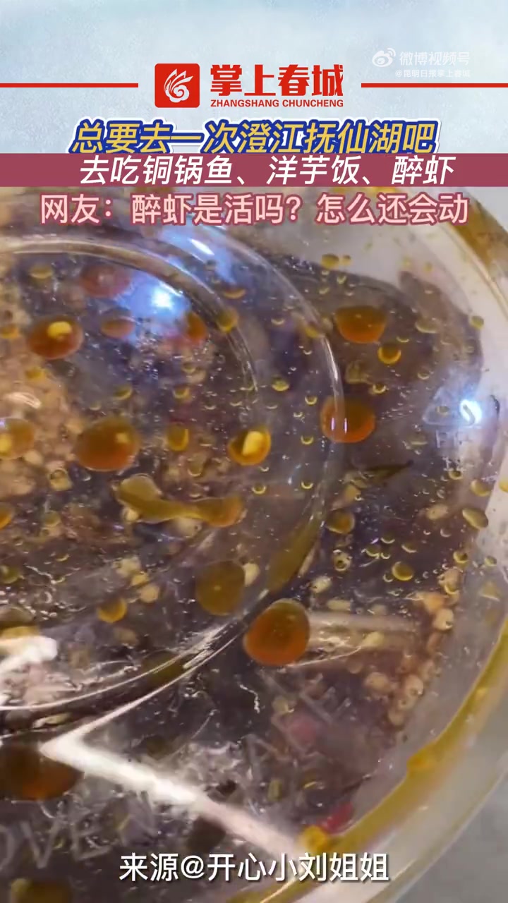 「云南美食又来上分了」总要去一次澄江抚仙湖吧!去吃铜锅鱼、洋芋饭、醉虾~
