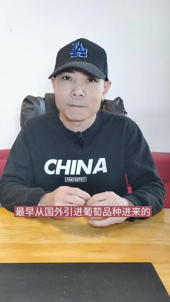 那么多酒叫解百纳,解百纳是什么意思?