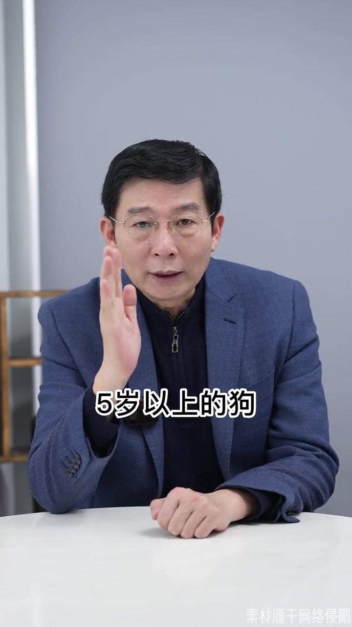 狗到底能不能吃剩菜剩饭?(一)狗狗行为心理 萌宠 狗狗 知识分享
