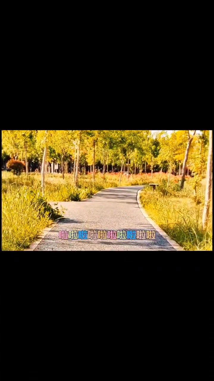 儿童歌曲《捉迷藏》
