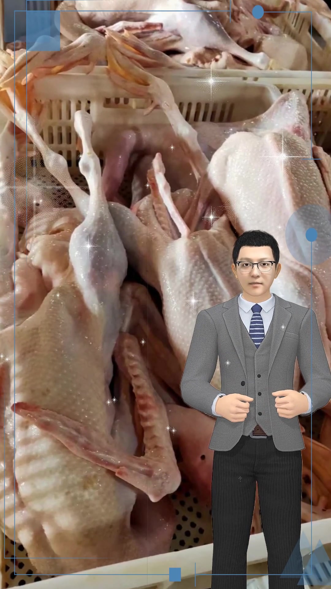 白条老鹅、仔鹅