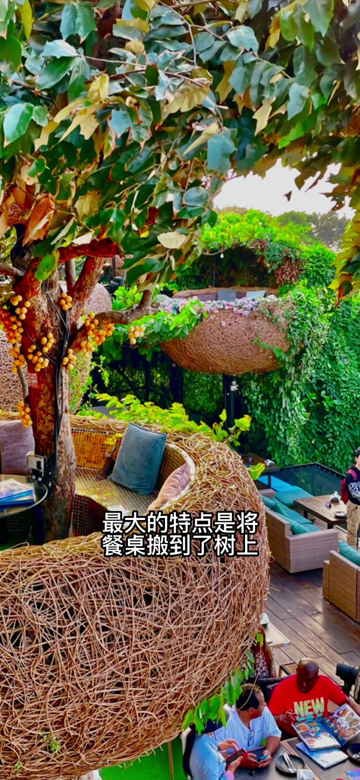 旅行特辑-打卡芭提雅网红餐厅 泰国美食 美人鱼餐厅 泰国 旅行 氛围感餐厅打卡