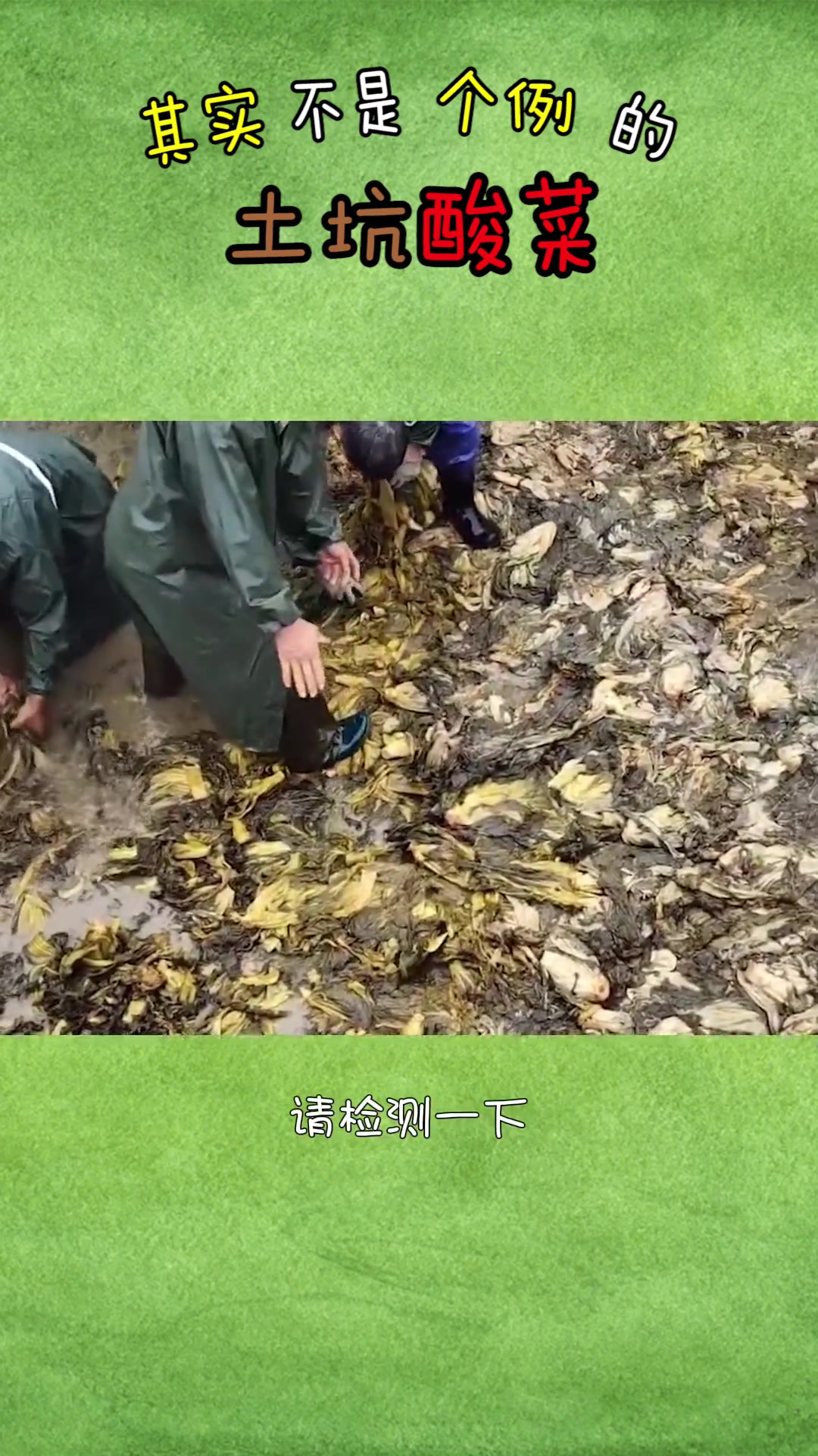 方便面酸菜包有问题?恐怕不是个例哟 老坛酸菜包竟是土坑腌制 酸菜 你吃过吗 食品安全 31