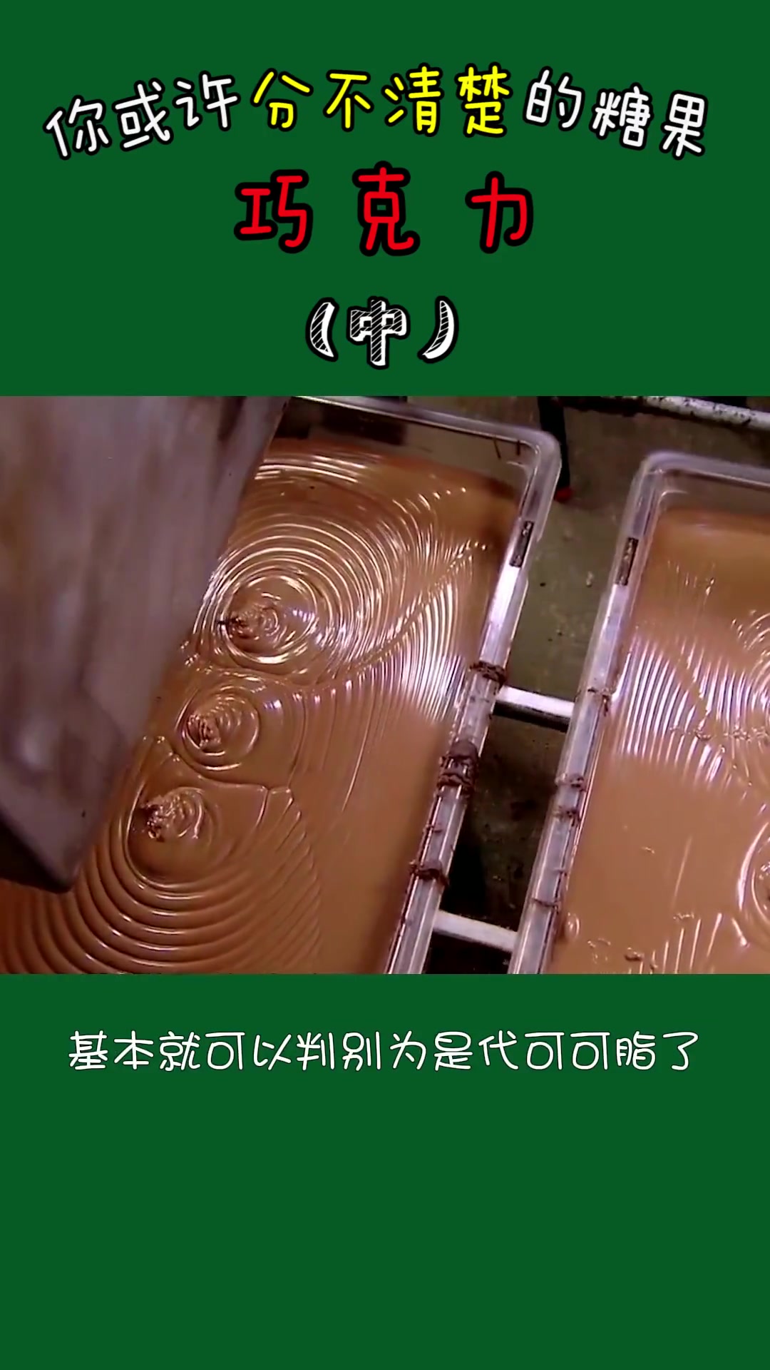 第11集|什么是代可可脂?巧克力 代可可脂 纯可可脂 反式脂肪酸 健康食品