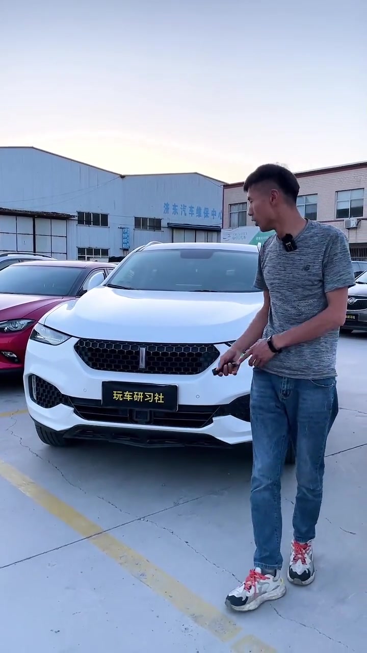 国产豪华品牌SUV魏派