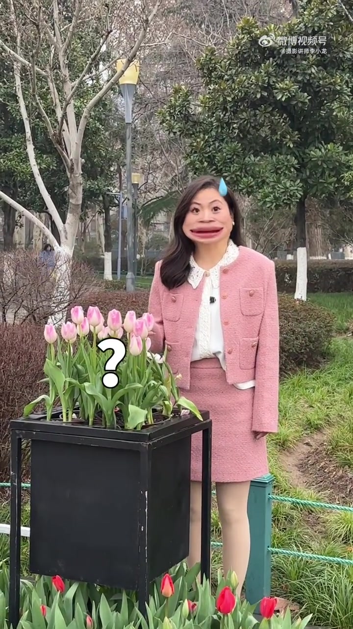 文旅分享 郁金香拍照技巧!适用于各种花海拍照,轻松拍大片   2023打卡最武汉 2023