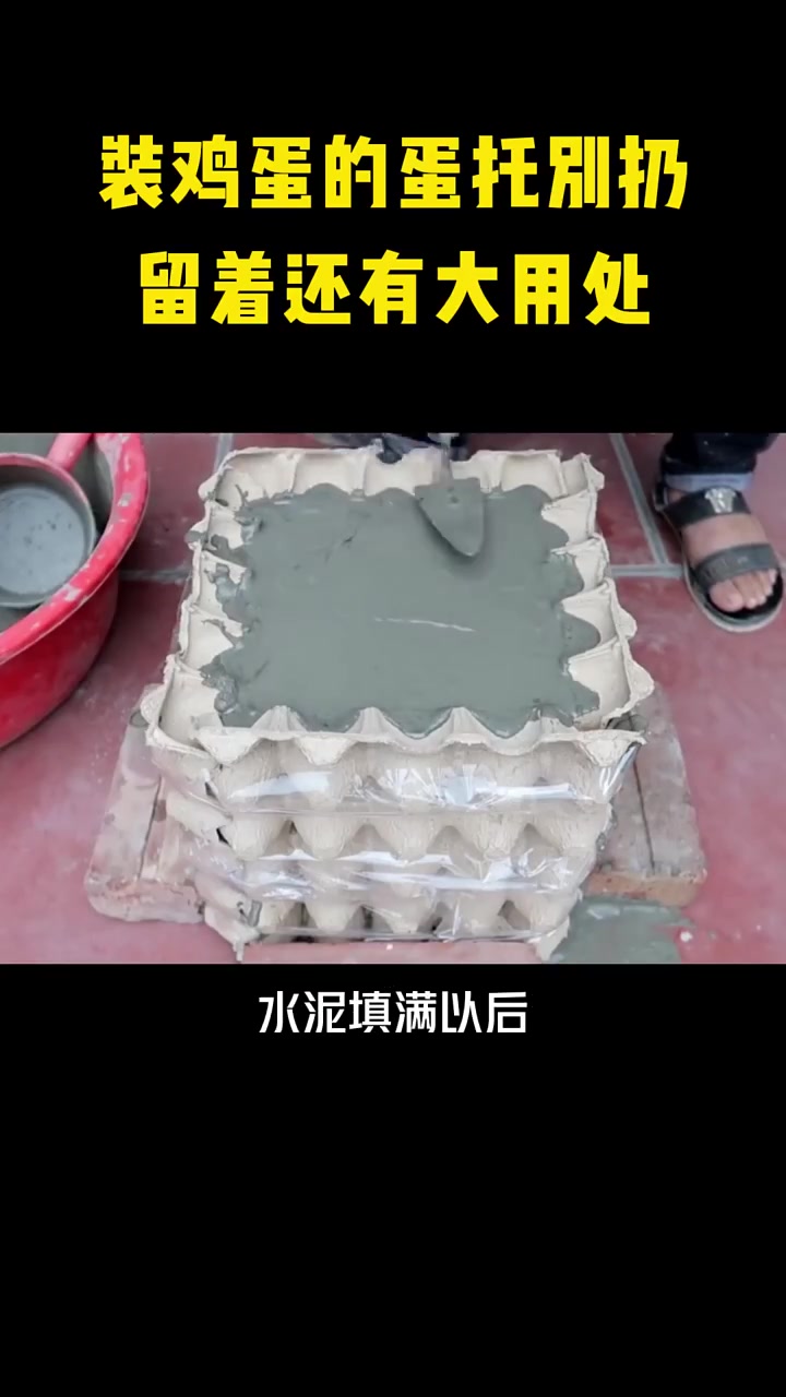 装鸡蛋的蛋托别扔,留着还有大用处