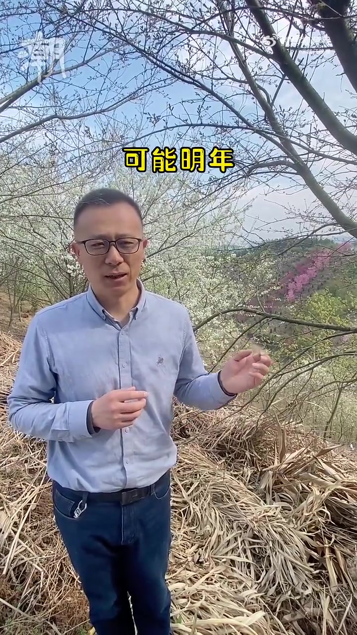 「浙江选育出了螺蛳粉樱花,到底什么味道?」这两天,大家都在赏樱花,市面上的樱花,主要是日本