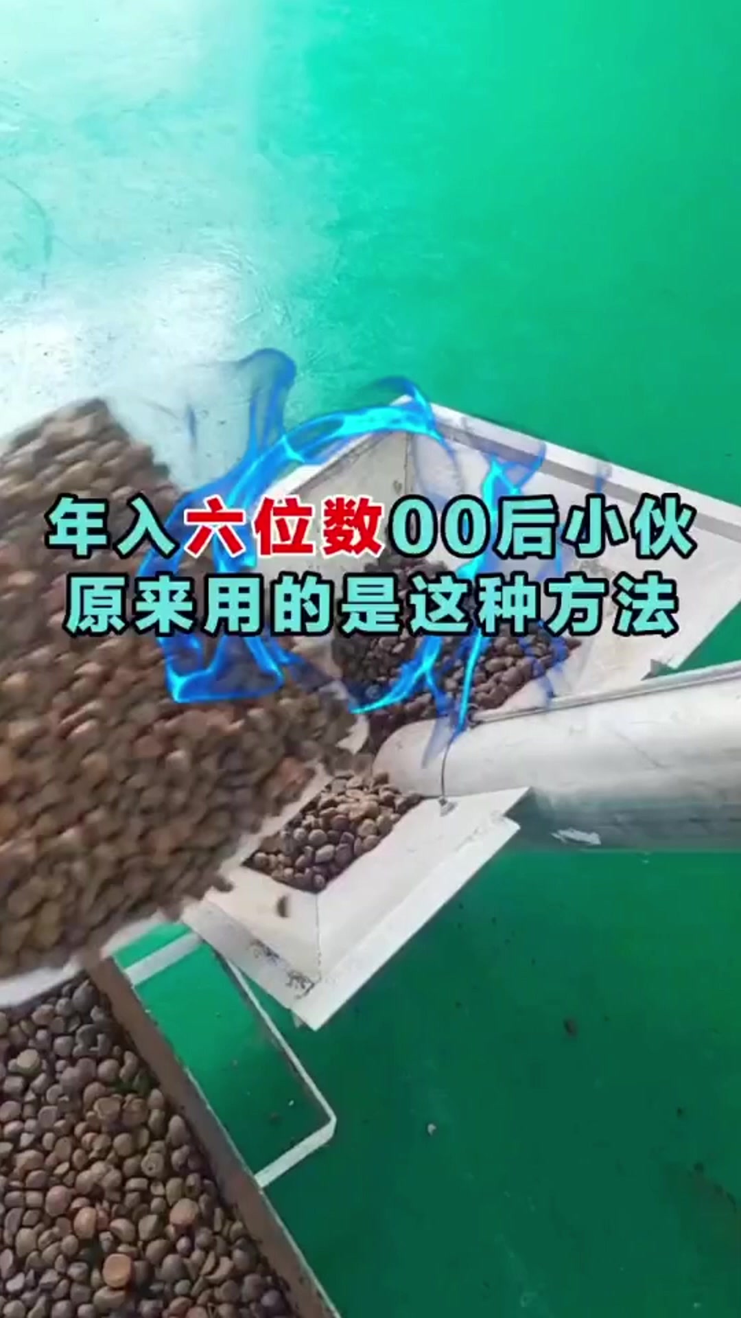 商用油坊中大型螺旋榨油机 全自动带核桃葵菜籽压油机成套设备