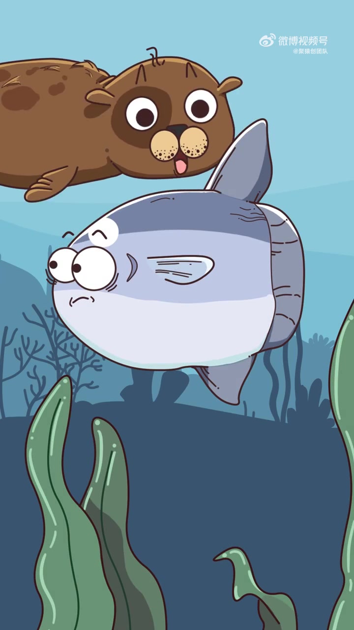 翻车鱼脆弱的一生 翻车鱼 翻车鱼到底有多惨