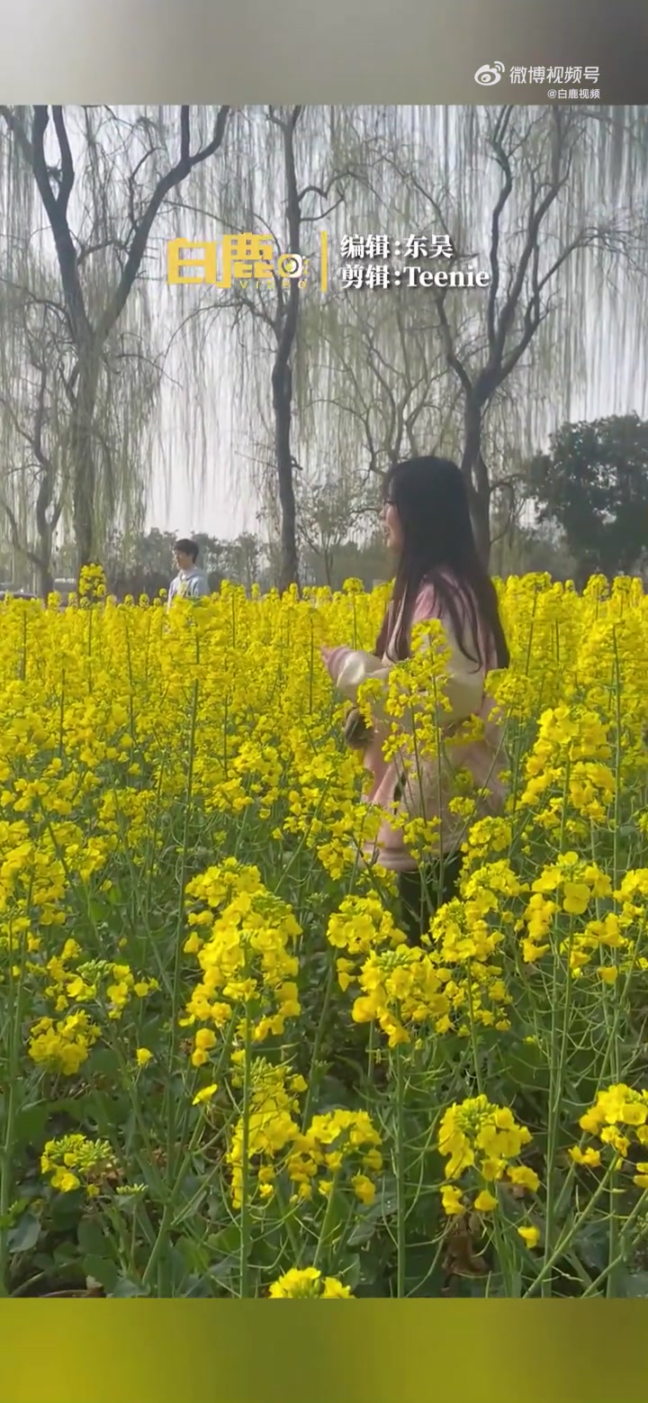 「学生看花走神老师把课堂搬进花田」近日,四川成都。老师上摄影课时发现学生一直盯着窗外的油菜