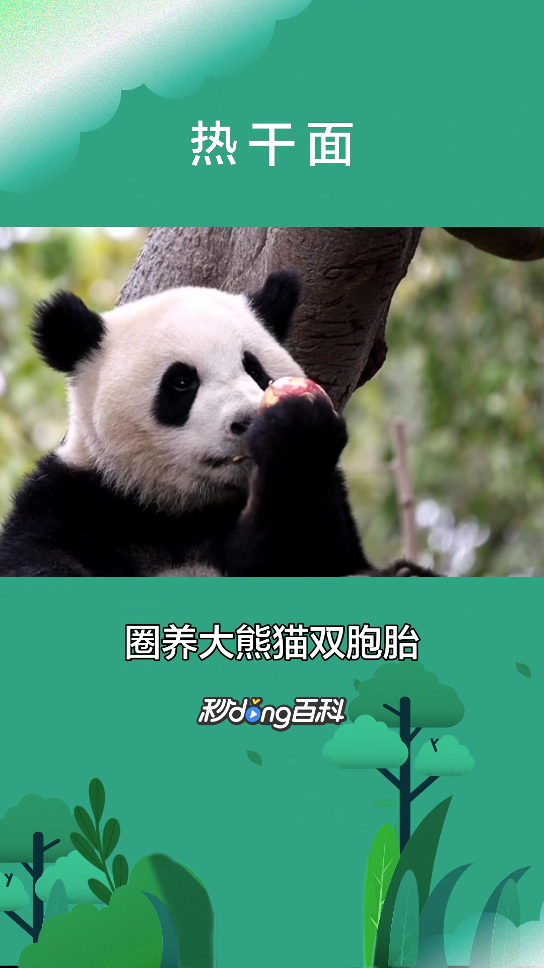 一分钟了解大熊猫热干面
