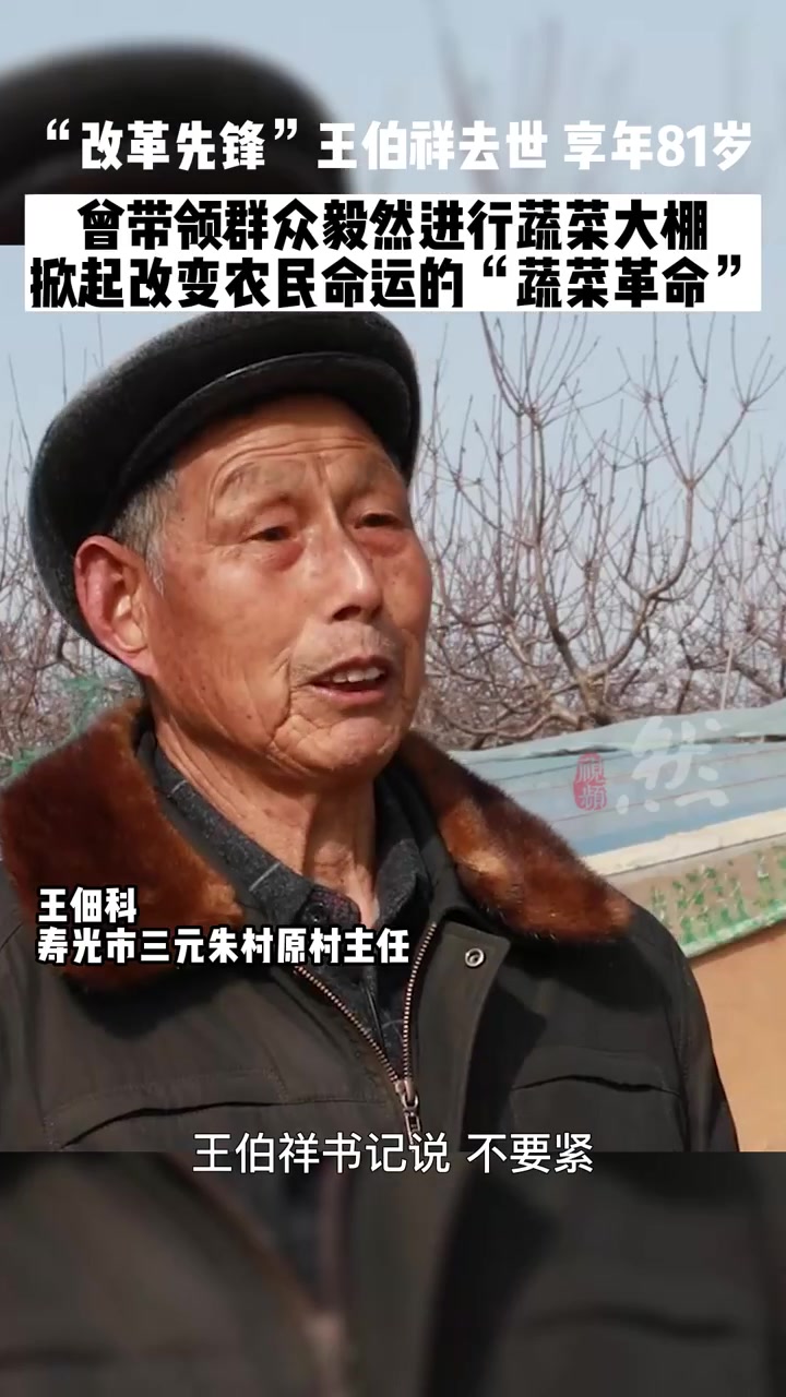 果然视频|“改革先锋”王伯祥去世,曾全力推广冬暖式蔬菜大棚