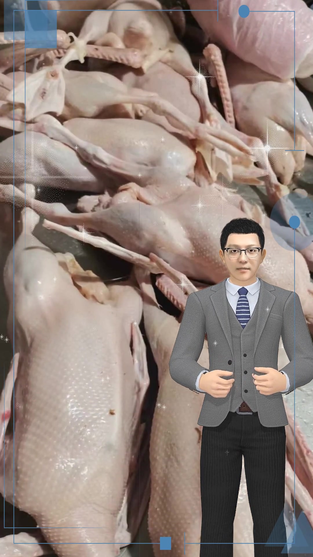 大公鹅