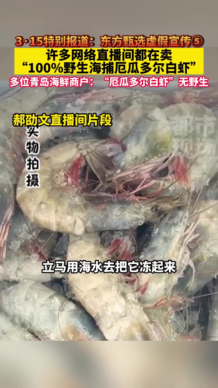 「东方甄选养殖虾当野生虾卖,多位青岛海鲜商户:厄瓜多尔虾都是养殖的」江苏的消费者王先生发现