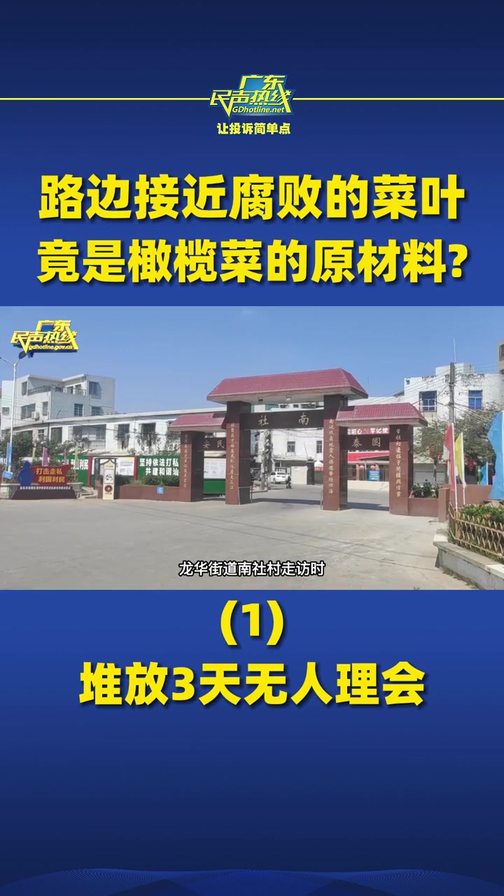 第11集|路边接近腐败的菜叶,竟是橄榄菜的原材料?(1)堆放3天无人理会 食品安全 橄榄菜