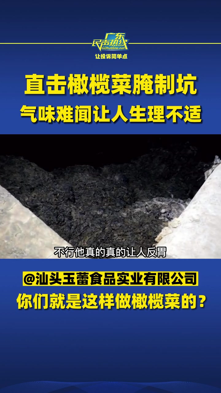 直击橄榄菜腌制坑,气味难闻让人生理不适 你们就是这样做橄榄菜的?橄榄菜 触目惊心的橄榄菜