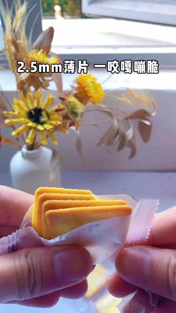 冬己芝士脆饼干 岩烧脆炭烧薄脆 蔬菜味 办公室零食 +小助手