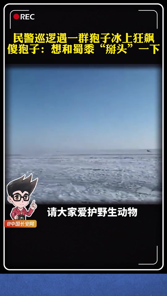 近5年第一次这么大规模!黑龙江鸡西的兴凯湖上,移民管理警察驾驶雪撬摩托,惊喜发现……长安动