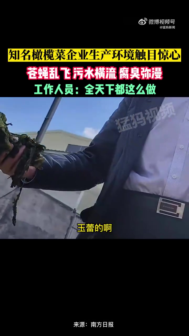 「橄榄菜生产地苍蝇乱飞污水横流 腐臭弥 工人边抽烟边干活」“ 315 ”在即,广东电视台播