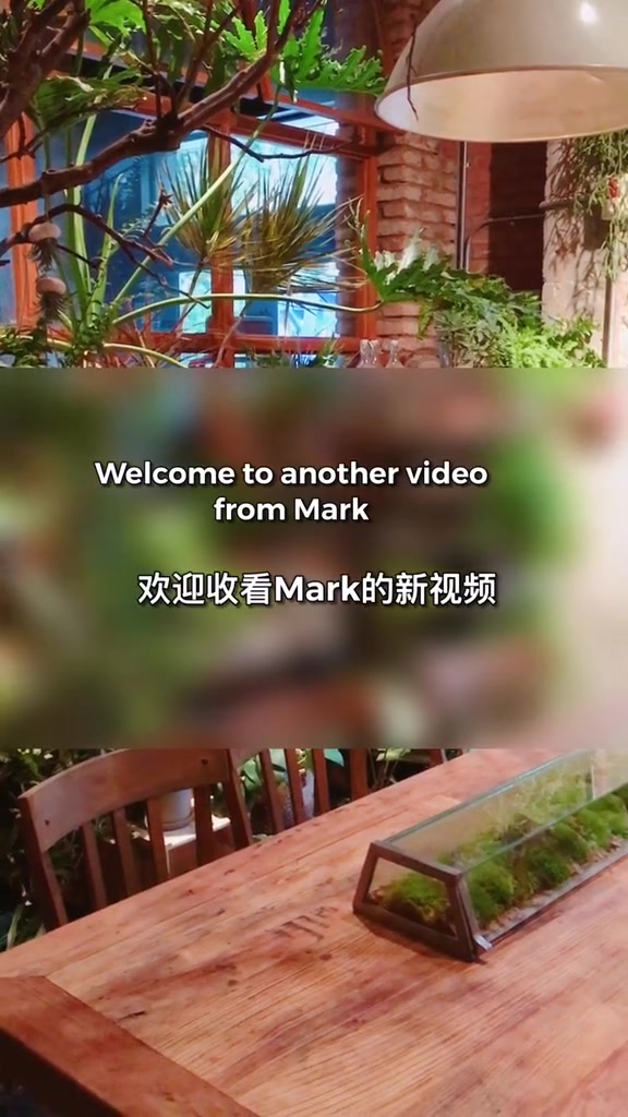 第40集|英语说“你有什么推荐的?” 点餐英语