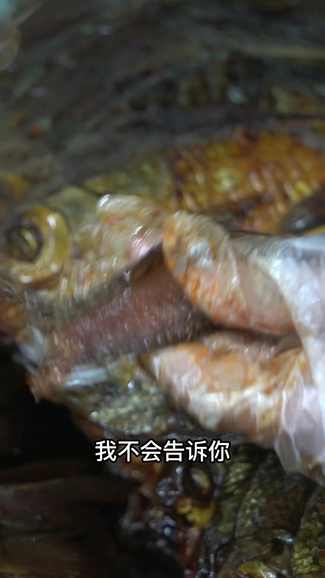 吃辣星人告诉你手撕酱板鱼是鳊鱼制作的哦