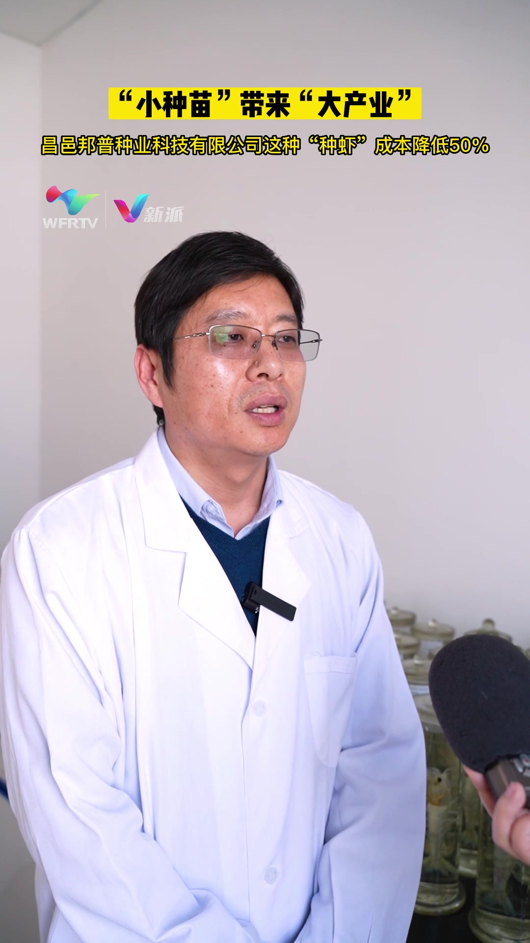 “小种苗”带来“大产业” 昌邑邦普种业科技有限公司这种“种虾”成本降低50%