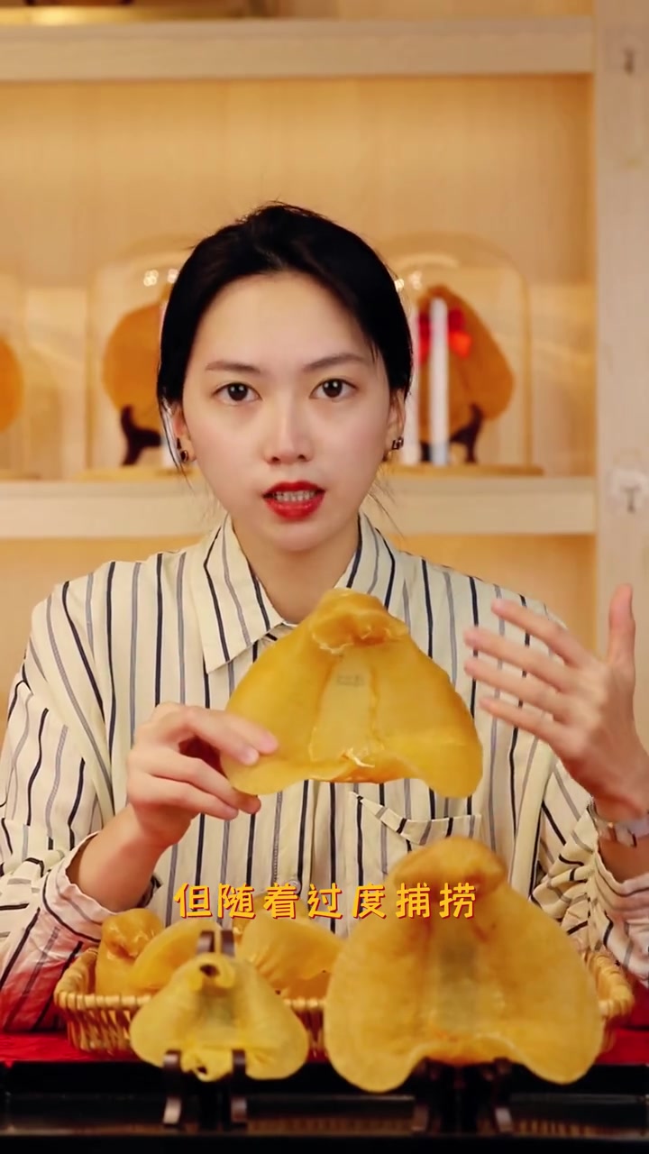 以前本港还有很多双棘原黄姑鱼,从湛江上岸的地方,会做成这样的造型。但随着过度捕捞和环境破坏