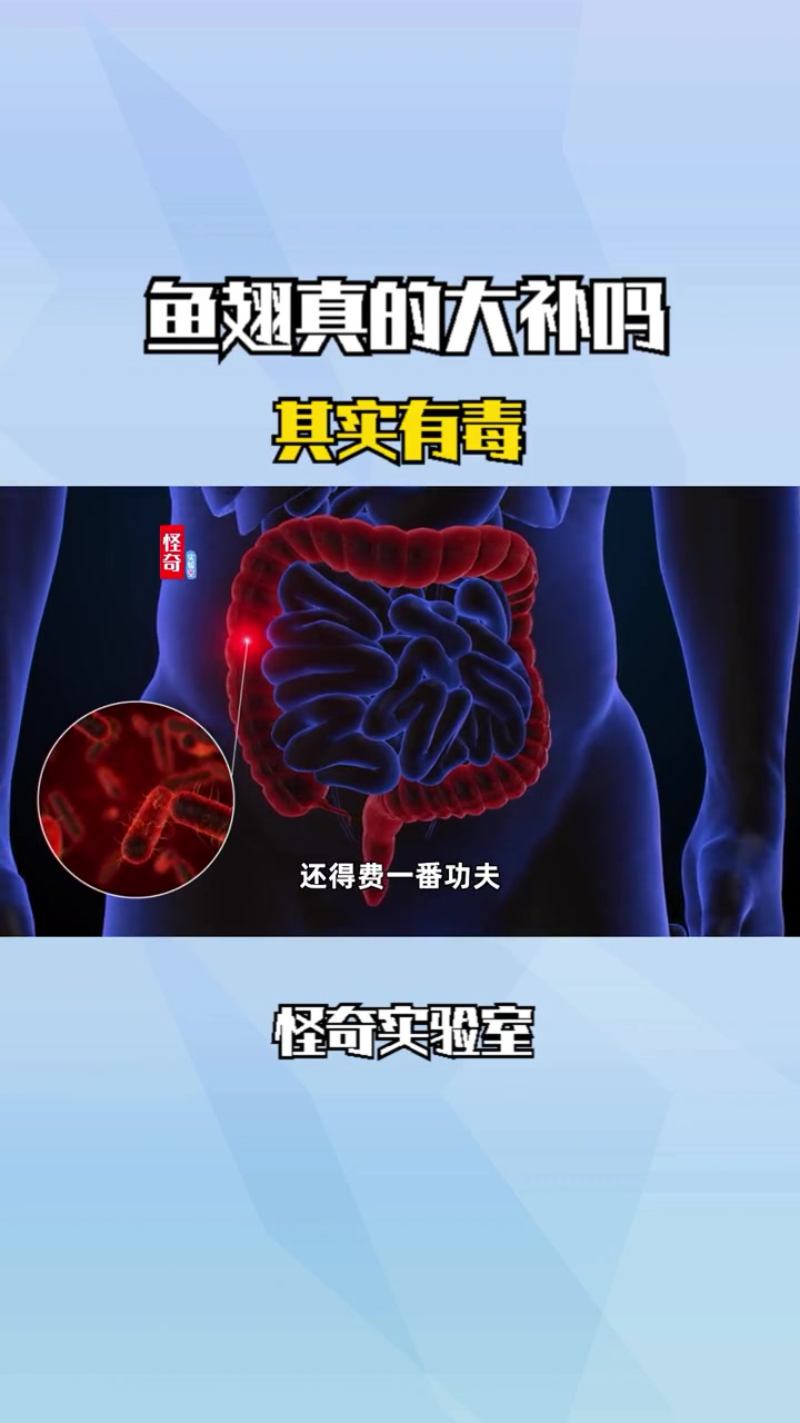鱼翅真的大补吗?人体不仅无法消化,而且还有毒?鱼翅 鲨鱼 野生动物 动物保护 没有买卖就没