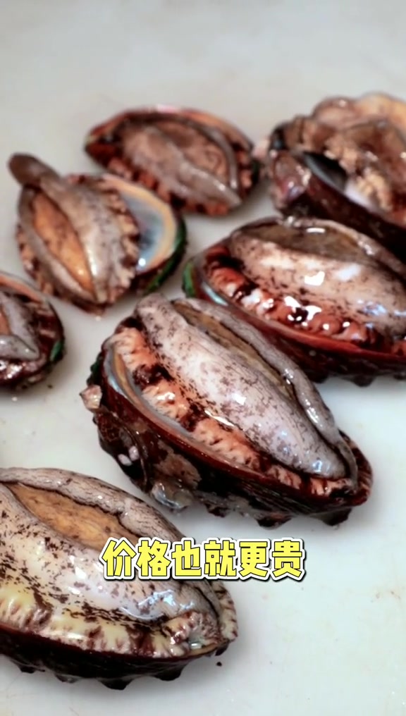鲍鱼的头数可是有讲究的
