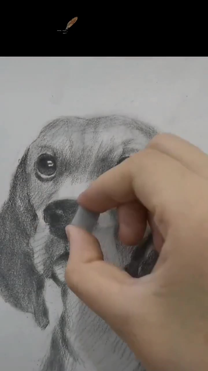 素描画动物教程