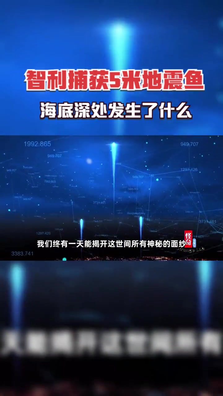 第8集|「怪奇实验室」智利捕获五米皇带鱼,海底深处发生了什么会地震吗 皇带鱼 地震鱼 智利