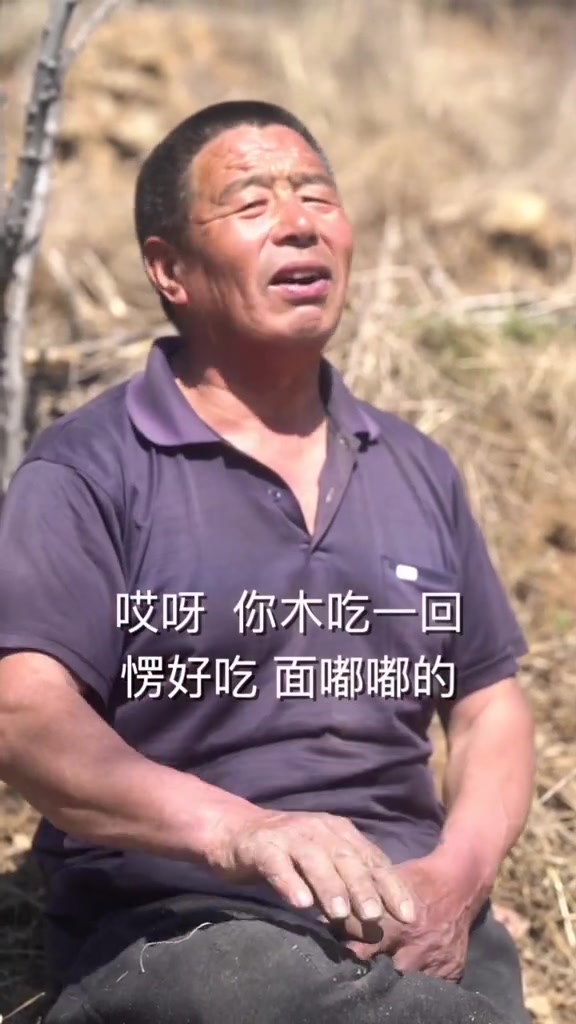 苦菜子的吃法,被嫌弃滴不要不要的……