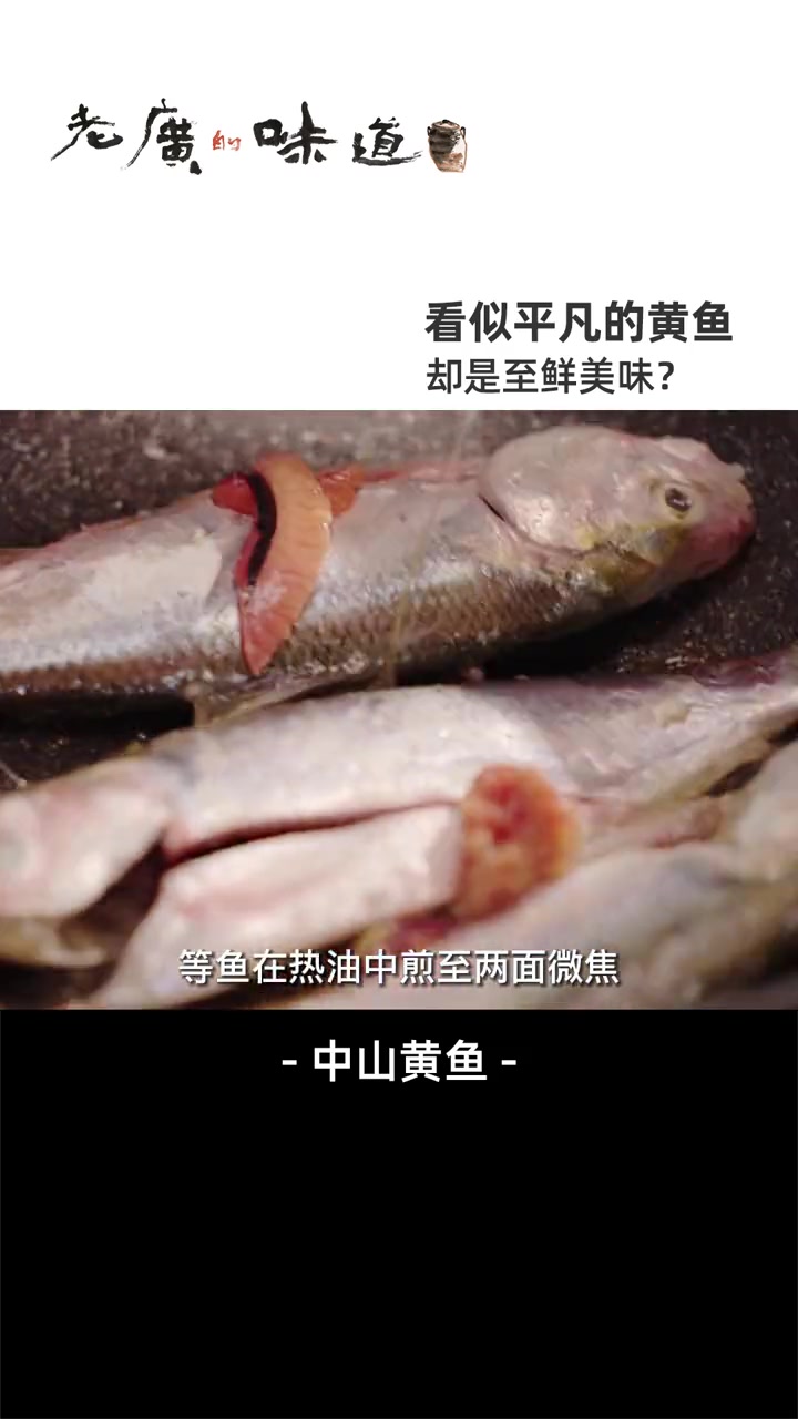 此黄鱼非彼黄鱼,其实是花鰶?当季黄鱼油脂丰富,最适合拿来香煎,滋味丰腴、鲜甜肥美~ 告诉老