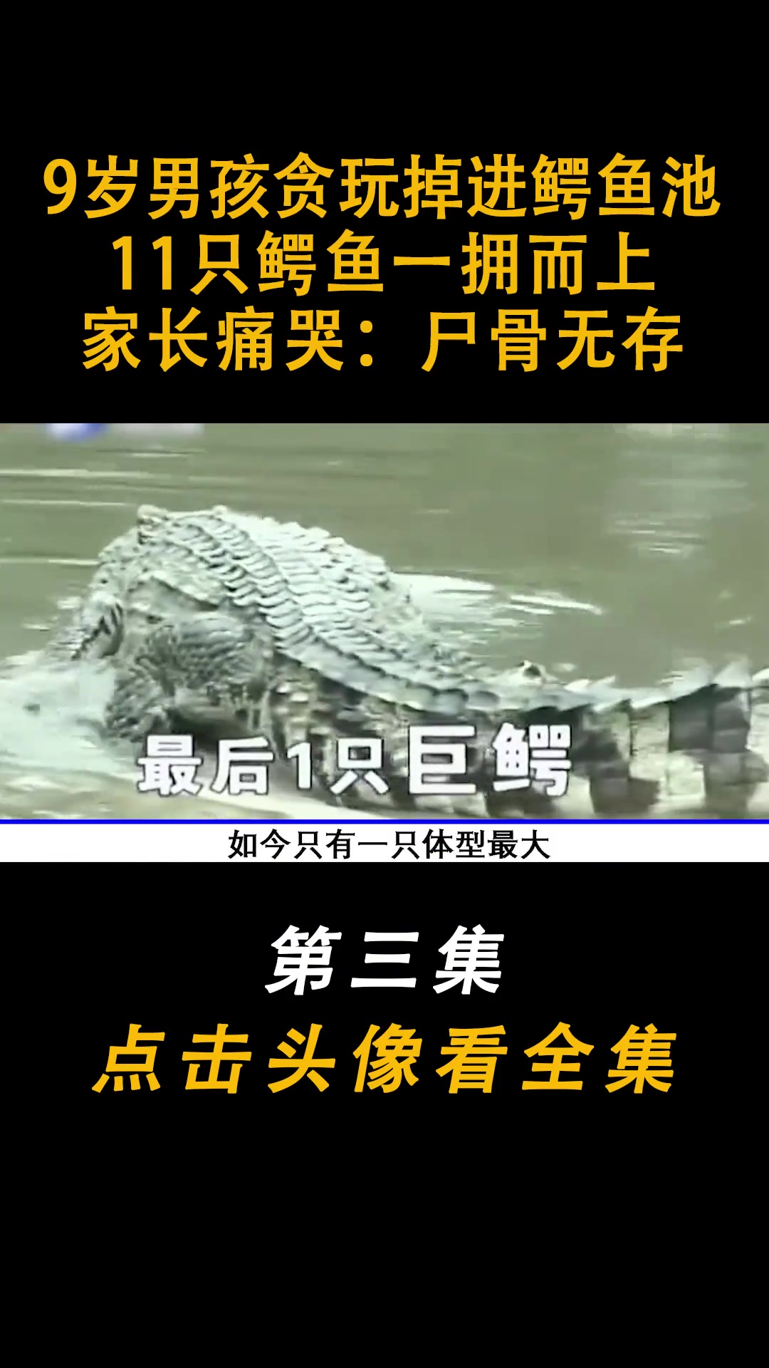 9岁男孩贪玩掉进鳄鱼池,11只鳄鱼一拥而上,家长痛哭:尸骨无存 上热门 下集更精彩
