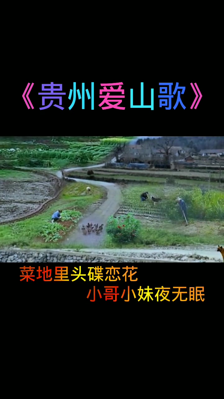 贵州爱山歌 山歌热门推送 贵州山歌 云贵山歌 云南山歌 青菜园来白菜园青菜没得白菜甜菜地里