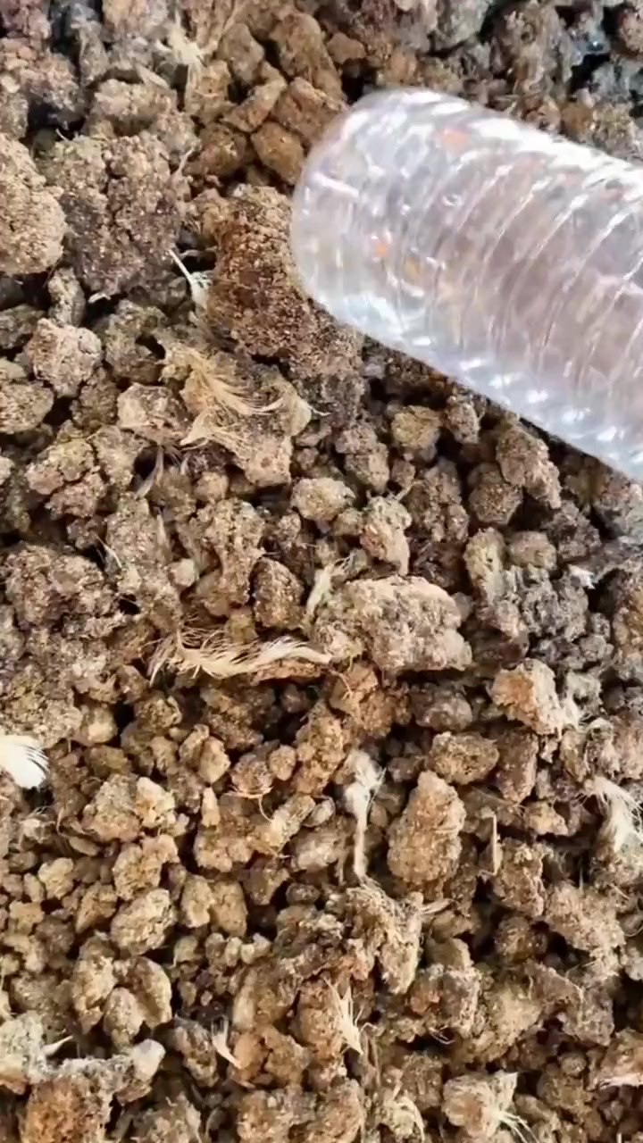教你发酵鸡粪有机肥