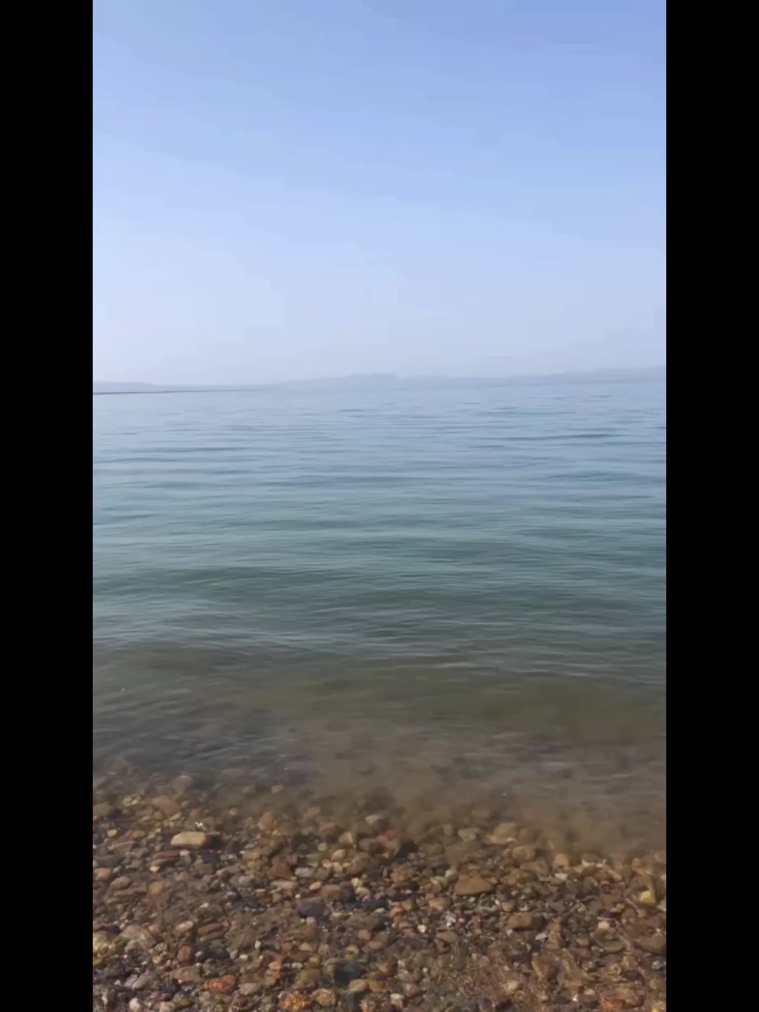 丹江口水库野生淡水银鱼无骨无刺