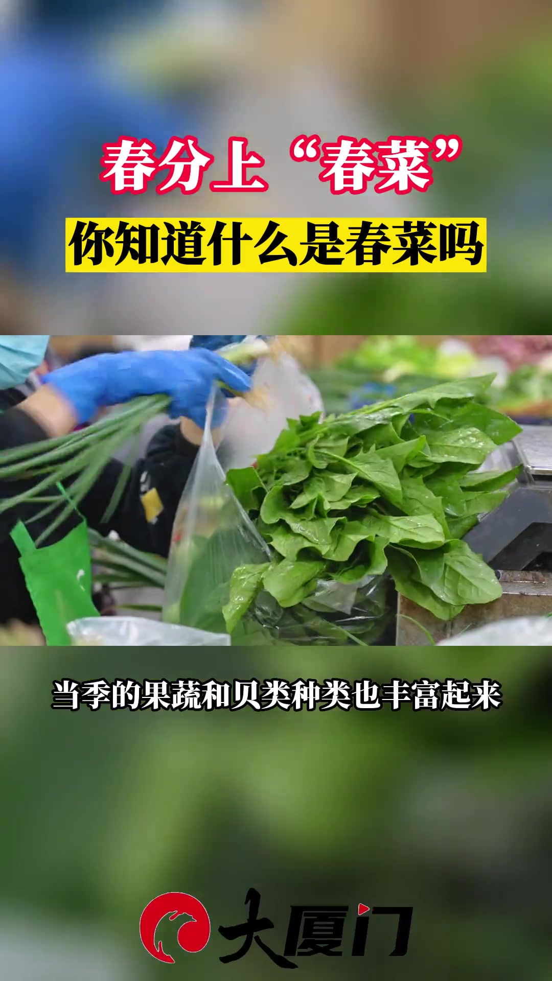 春分上“春菜” 你知道什么是春菜吗?春天的味道 春分