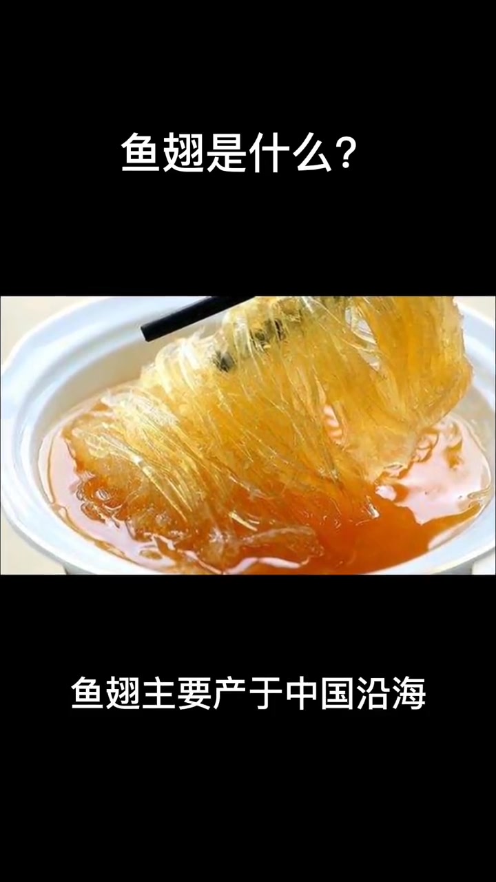 鱼翅是什么?冷知识