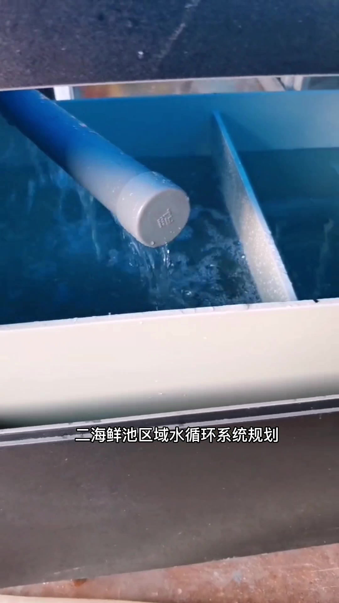 海鲜池如何选择?海鲜池设计制作-海鲜缸-鱼池,移动海鲜池