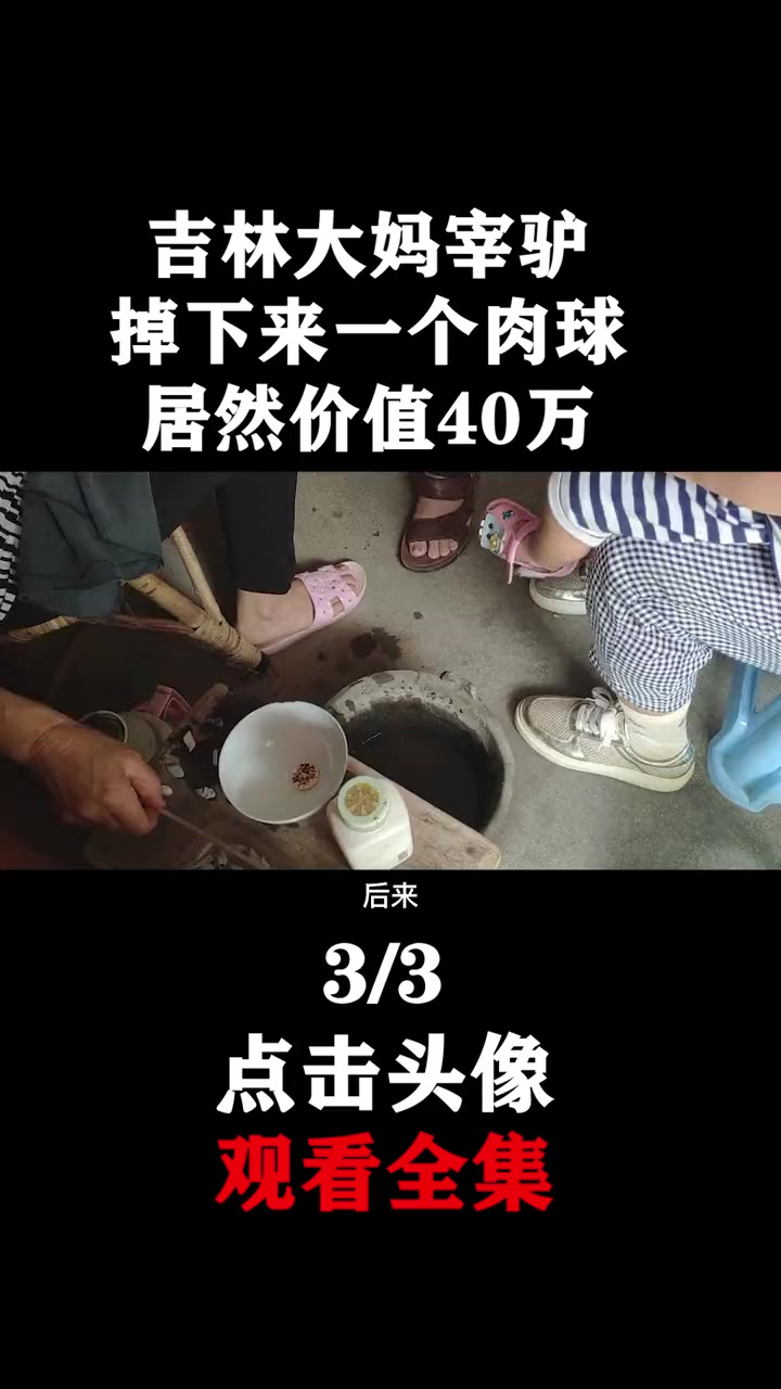 吉林大妈赶集买了头驴,发现驴肚里不简单,有奇怪肉球价值40万?纪录片 奇闻异事