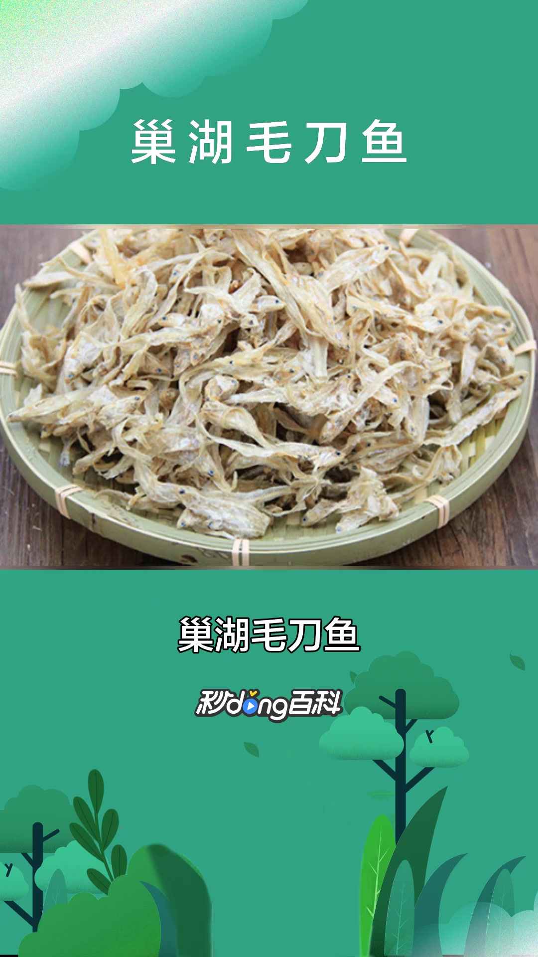 一分钟了解巢湖毛刀鱼