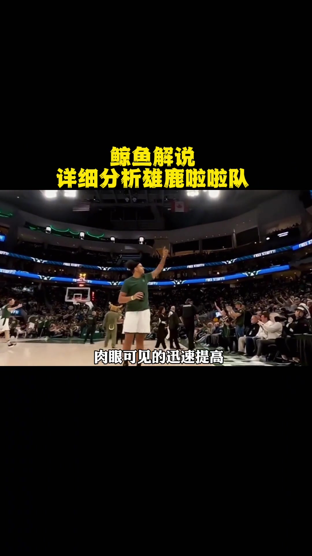 第60集|鲸鱼解说 详细分析雄鹿啦啦队 nba 篮球 雄鹿 雄鹿vs篮网