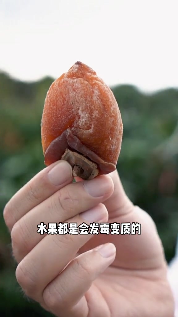每天一条水果小知识,柿饼白霜是糖么?