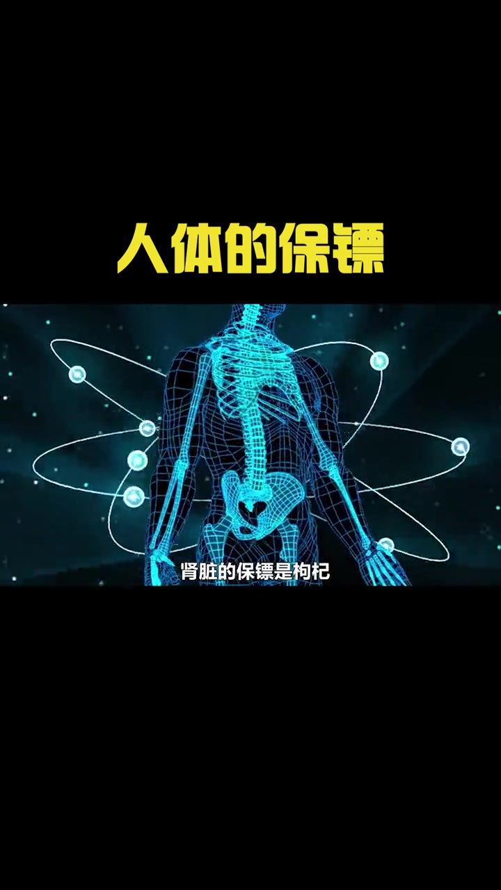 身体的各部位的“保镖”,你知道哪些?好物 维生素B