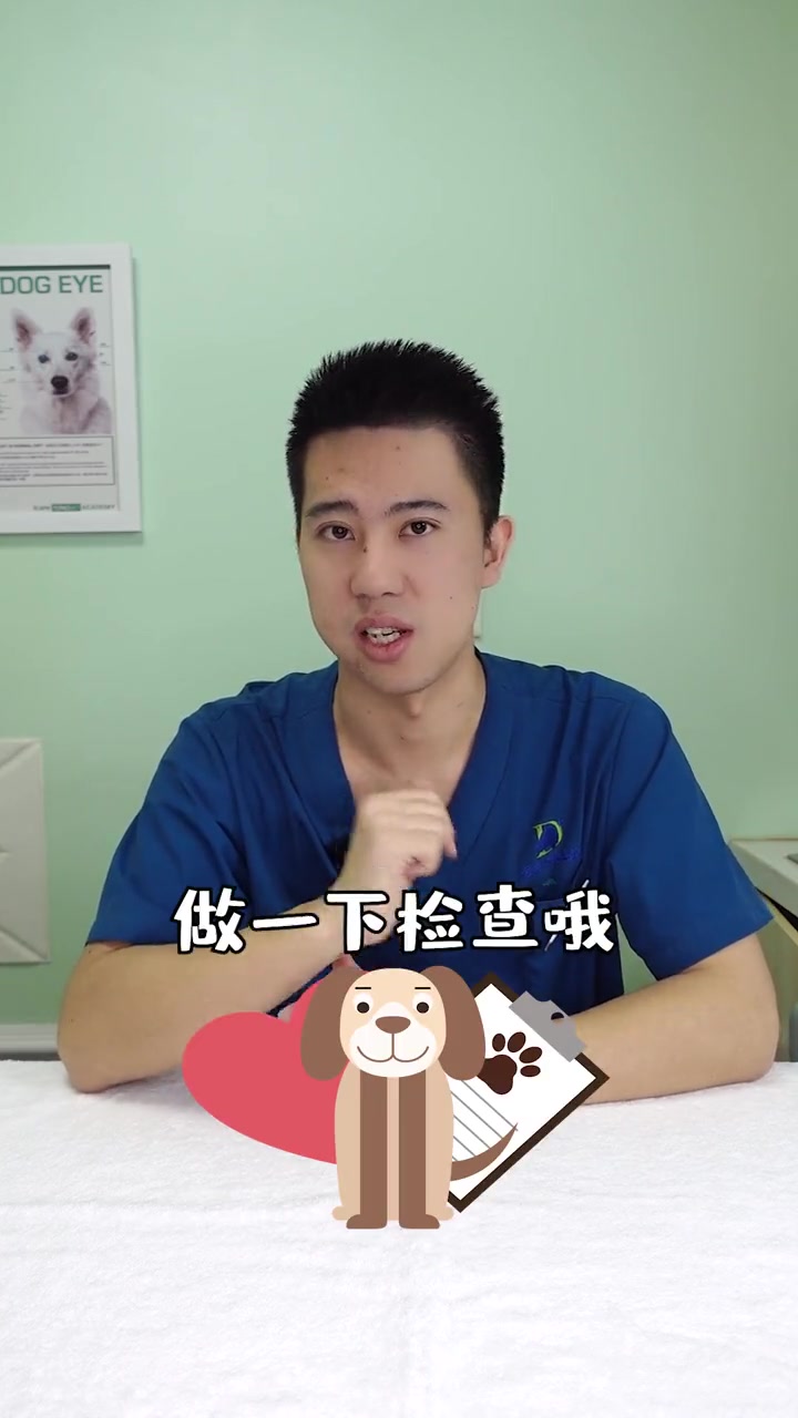狗狗身上有疙瘩?小心,可能是肿瘤!