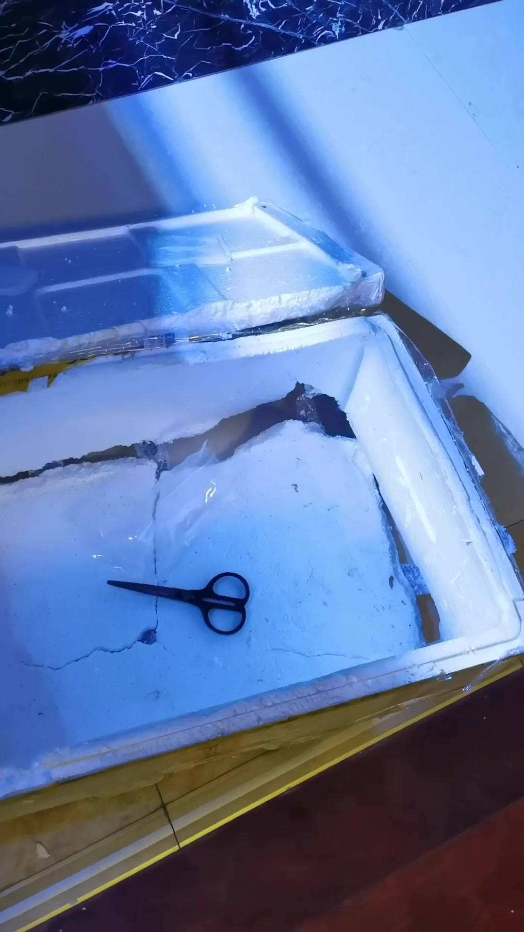 彩鲽水族-泰国斗鱼介绍