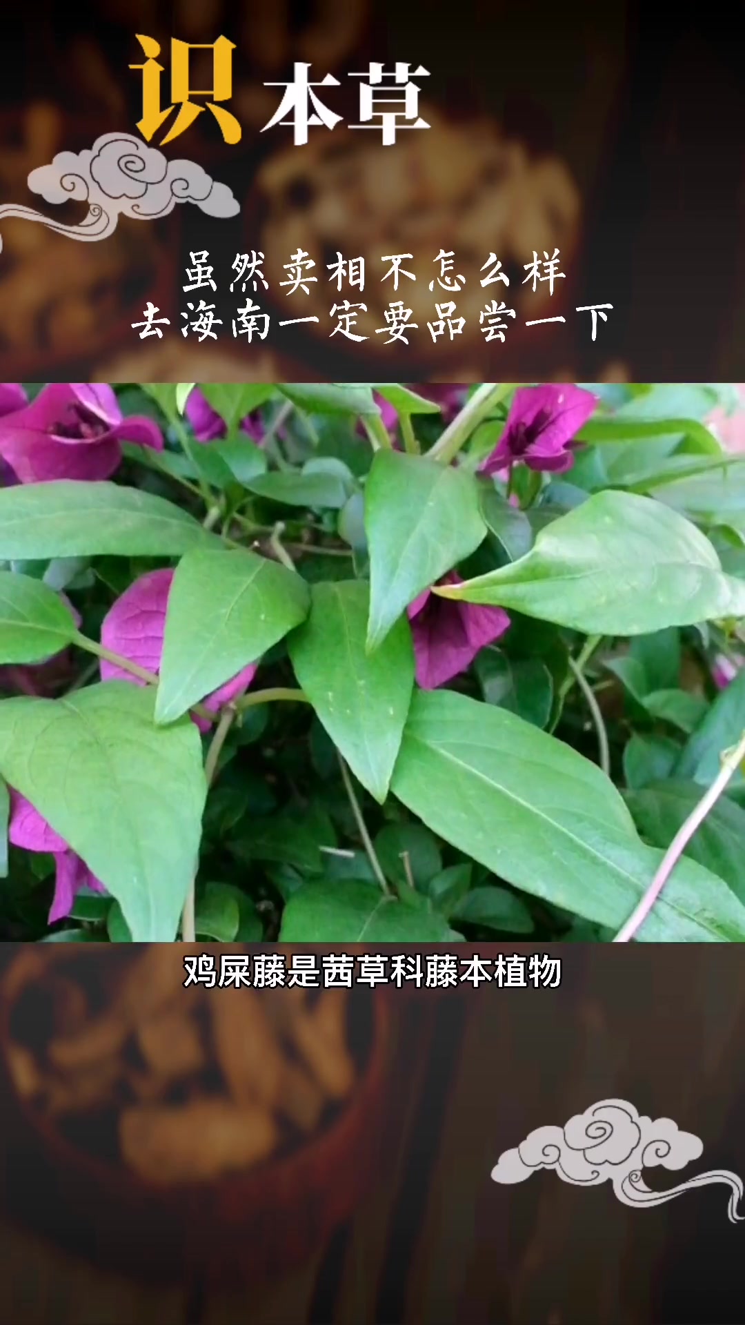 名字不雅,但作用不小,吃完东西马上就要上厕所的人关注它。鸡