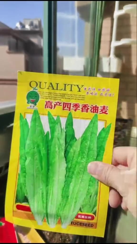 没阳光照样长得好的蔬菜,18种耐阴蔬菜,树荫下也能种哟